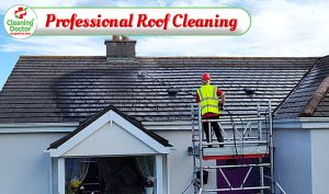Cleaning Doctor Professional Roof Cleaning Services