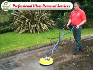 Cleaning Doctor Professional Moss Removal Services