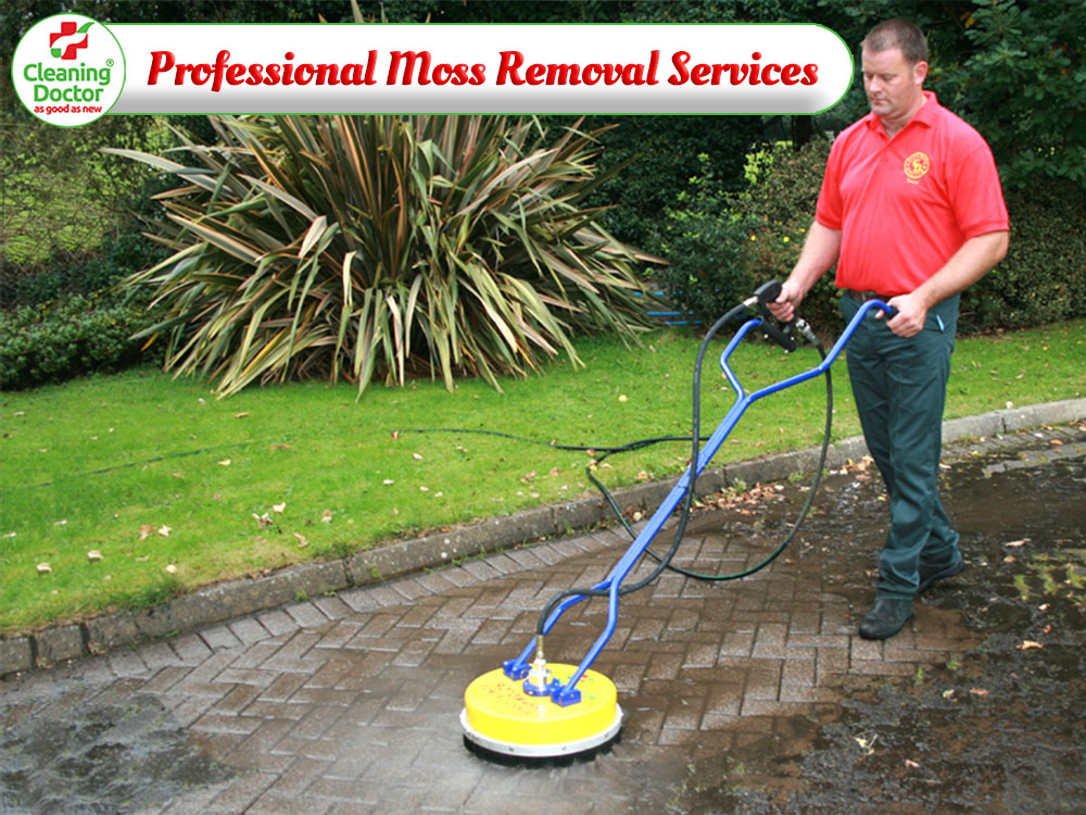 Cleaning Doctor Moss Removal Services