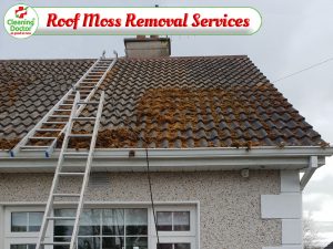 Cleaning Doctor Roof Moss Removal Services
