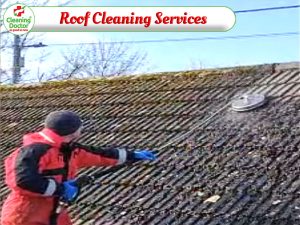 Cleaning Doctor Wall Cleaning Services