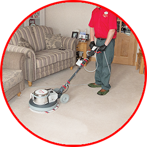 Cleaning Doctor Carpet Cleaning Service
