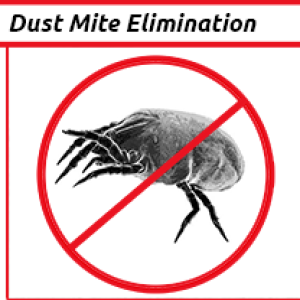 Cleaning Doctor, Professional Dust Mite ELimination Services