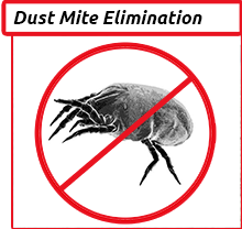 Cleaning Doctor, Professional Dust Mite Elimination Services
