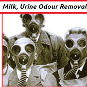 Cleaning Doctor, Professional Odour Elimination Cleaning Services