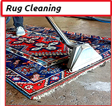 Cleaning Doctor, Professional Rug Cleaning Services