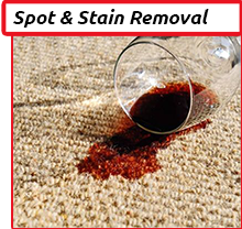 Cleaning Doctor, Professional Spot & Stain Removal Cleaning Services