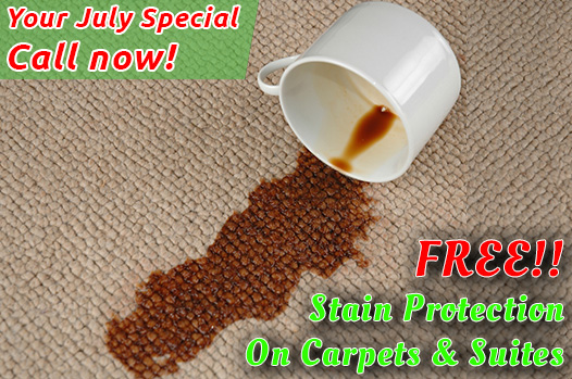 Free Stain Protection Offer, July 2024