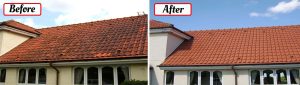 Cleaning Doctor Roof Cleaning Services