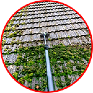 Cleaning Doctor Roof Cleaning Services