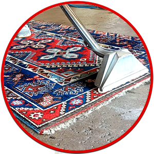 Cleaning Doctor Rug Cleaning Service