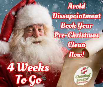 Cleaning Doctor Santa Claus, book now!