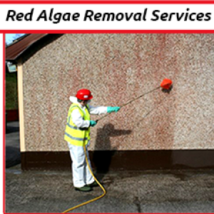 Cleaning Doctor Red Algae Removal Services