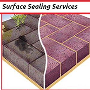 Cleaning Doctor Surface Sealing Services