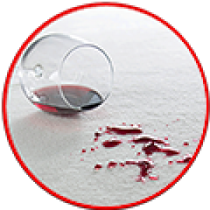 Cleaning Doctor Spot & Stain Cleaning Service