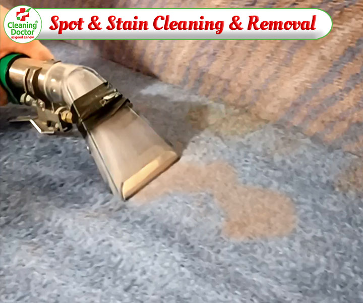 Cleaning Doctor, Professional Spot & Stain Removal Cleaning Services