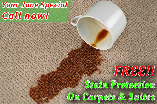 Free Stain Protection Offer, June 2024