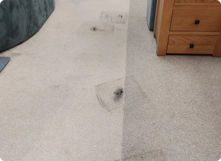 Stain Before