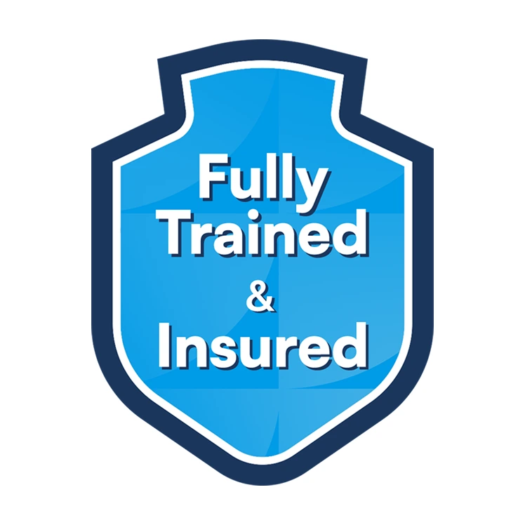 Fully Trained & Insured