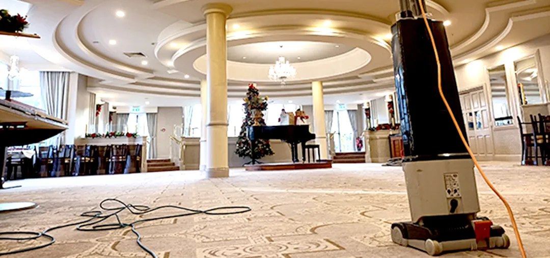 Office Carpet Cleaning