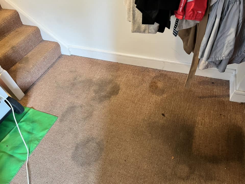 Before Cleaning