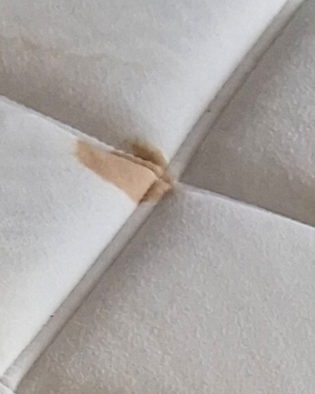 Before Cleaning