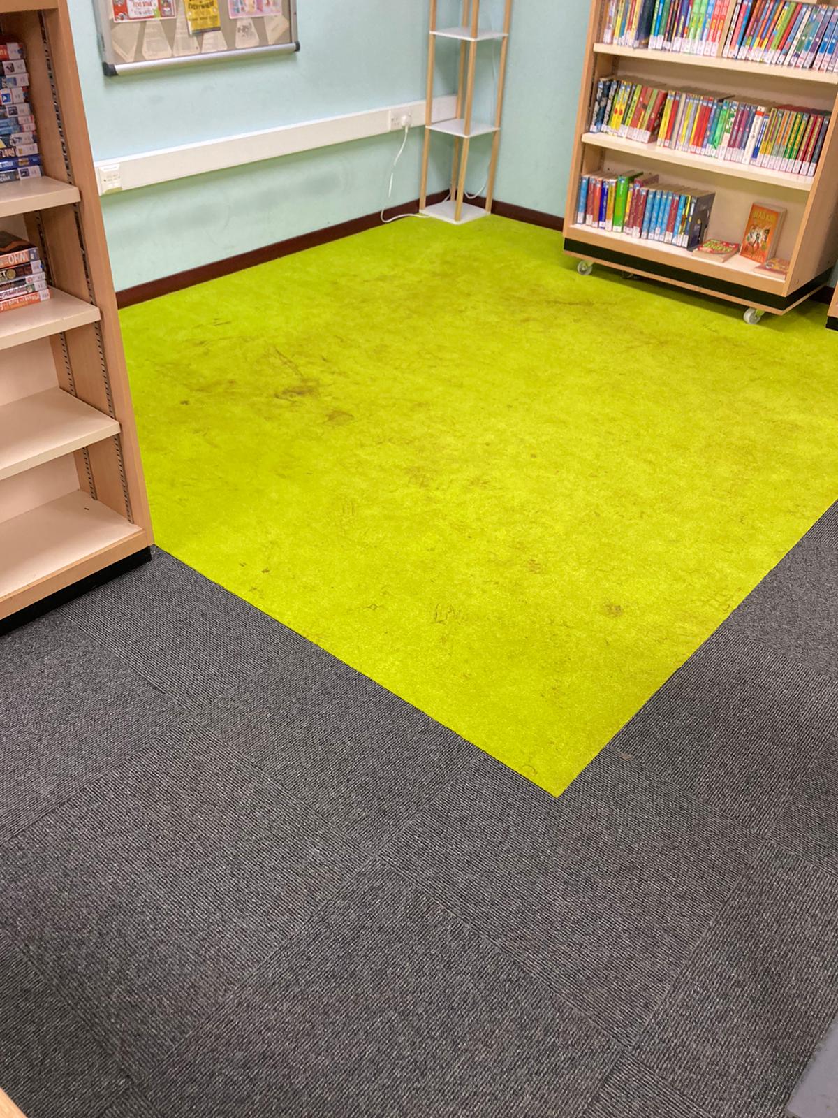 Dirty Rug Before