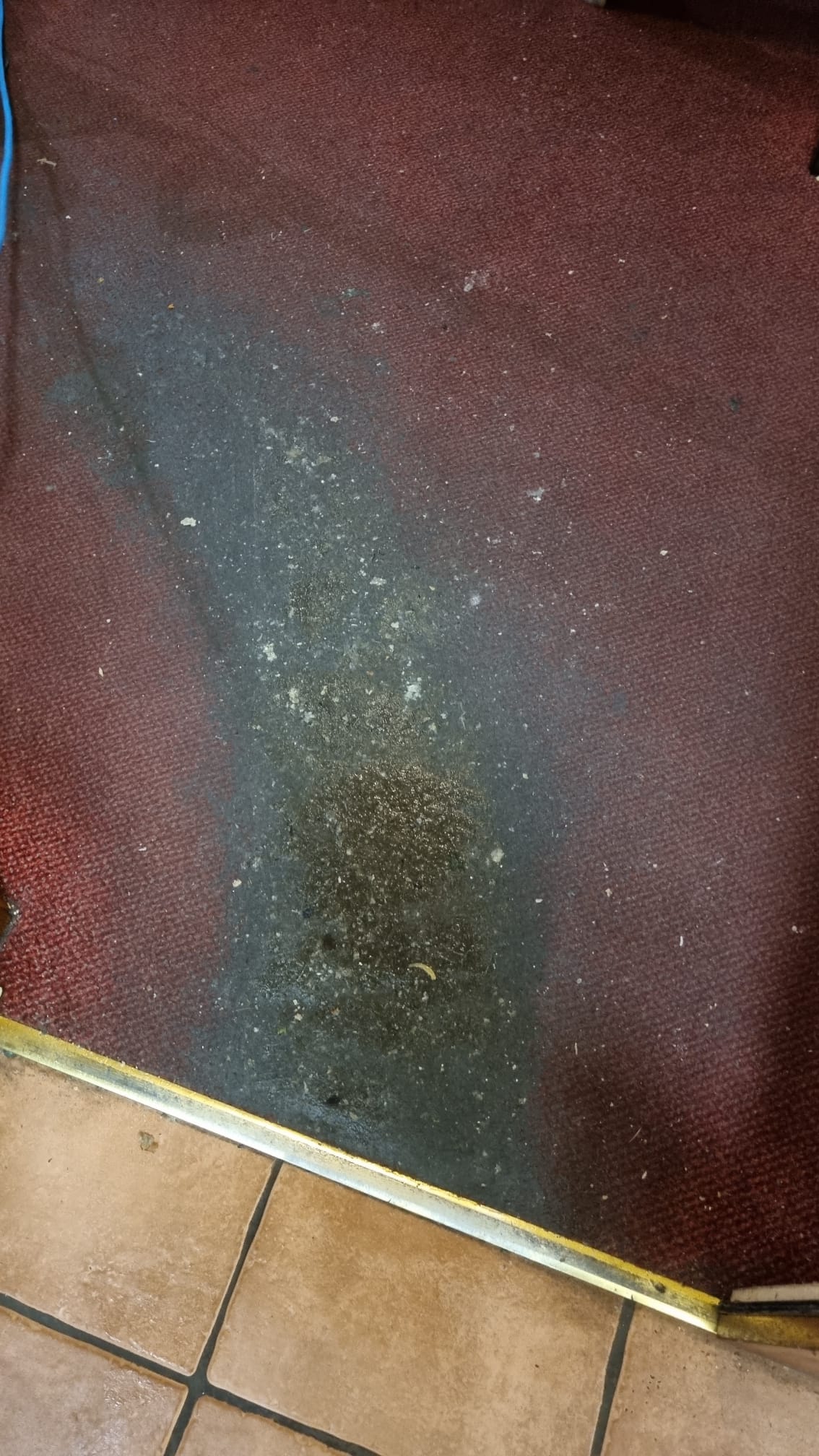 Rug Before Cleaning