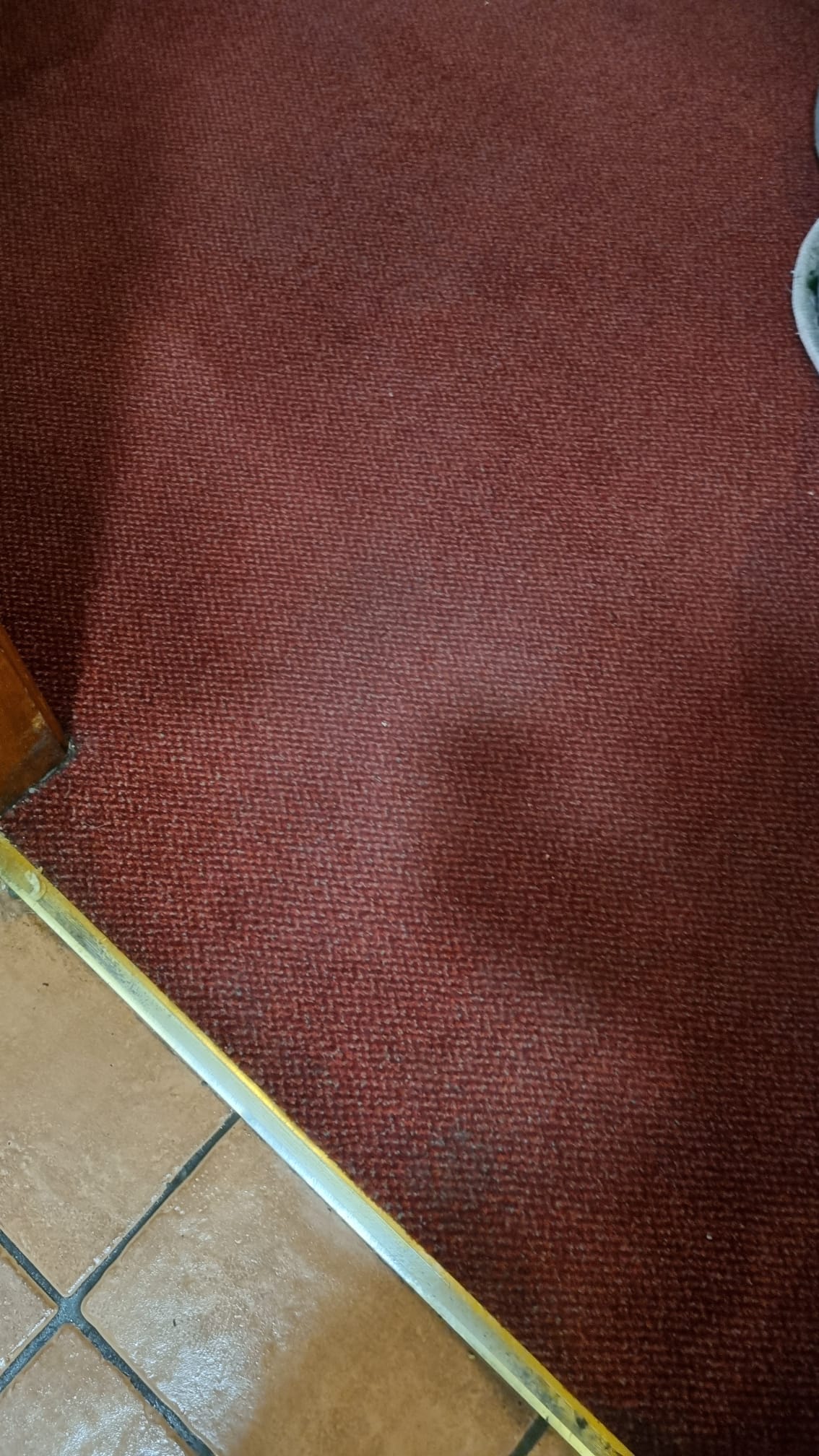 Rug After Cleaning