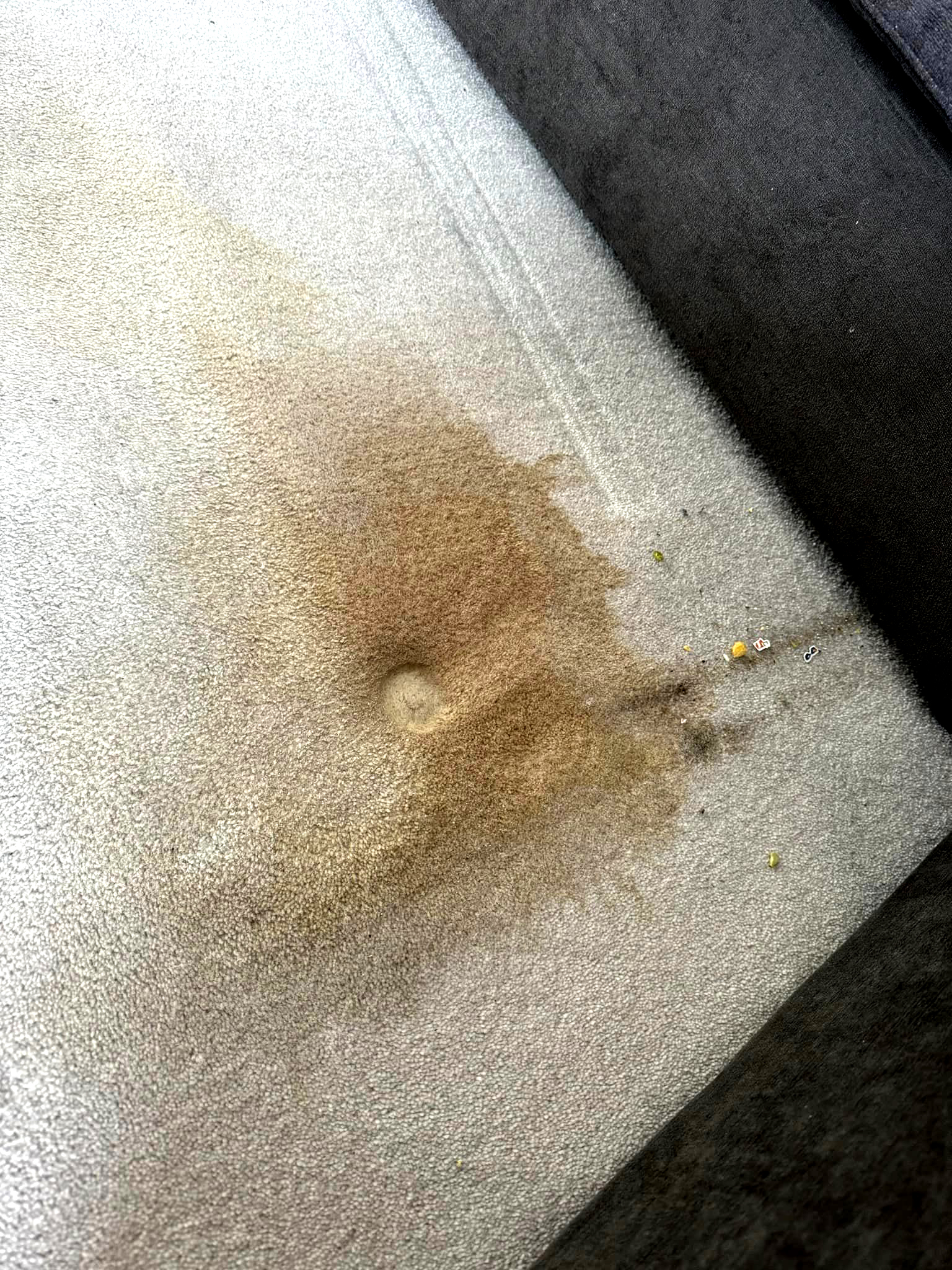 Before Cleaning