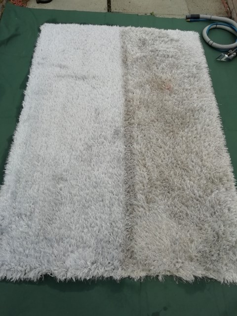 Stained Rug Before